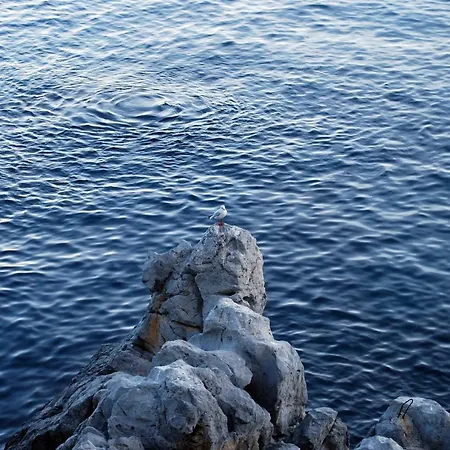 Apartamento Casalmare