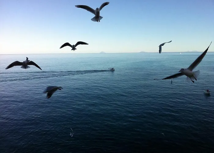 Apartamento Casalmare *