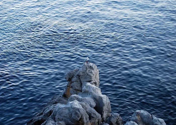 Apartamento Casalmare