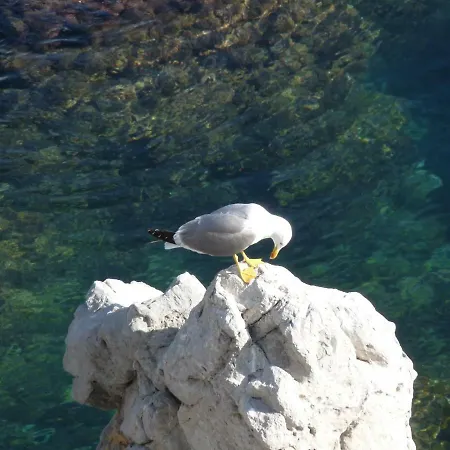 Casalmare Apartmán *