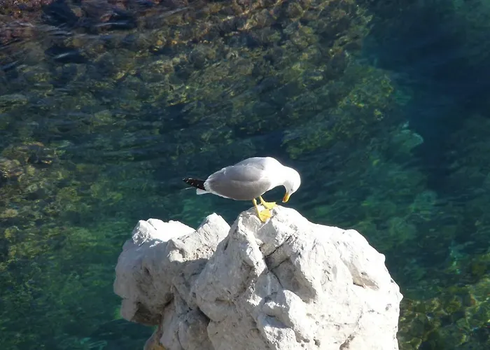 Casalmare Lägenhet *